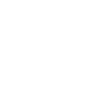 ServiceVizor